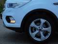 Ford Kuga Titanium PANORAMADACH AHK KAMERA SH Blanco - thumbnail 4
