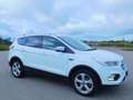 Ford Kuga Titanium PANORAMADACH AHK KAMERA SH Blanco - thumbnail 15