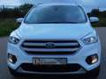 Ford Kuga Titanium PANORAMADACH AHK KAMERA SH Blanco - thumbnail 8