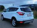 Ford Kuga Titanium PANORAMADACH AHK KAMERA SH Blanco - thumbnail 11