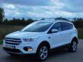 Ford Kuga Titanium PANORAMADACH AHK KAMERA SH Blanco - thumbnail 1