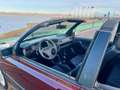 Volkswagen Golf Cabriolet Or - thumbnail 25