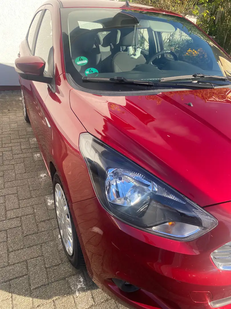 Ford Ka/Ka+ Ka+ Ka+ 1.2 S Rot - 2