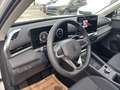 Volkswagen T-Roc 4 Zylinder -Neues Modell 2026 - nur € 28.999,-* Blanc - thumbnail 31