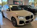 BMW X3 xDrive20d 48V MHEV Msport Tetto/Cerchi 20' Blanco - thumbnail 33