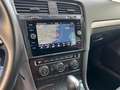 Volkswagen Golf Variant 1.6TDI Advance DSG7 Gris - thumbnail 16
