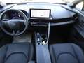 Toyota C-HR C-HR 2.0 HV Lounge Premiere Oro - thumbnail 13