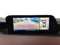 Mazda 3 2.0 SKYACTIV-X HYBRID EXCLUSIVE AUTOMATICA Grigio - thumbnail 12