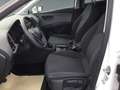 SEAT Leon 1.2 TSI ST Reference PDC, SHZ, GJR Blanc - thumbnail 10