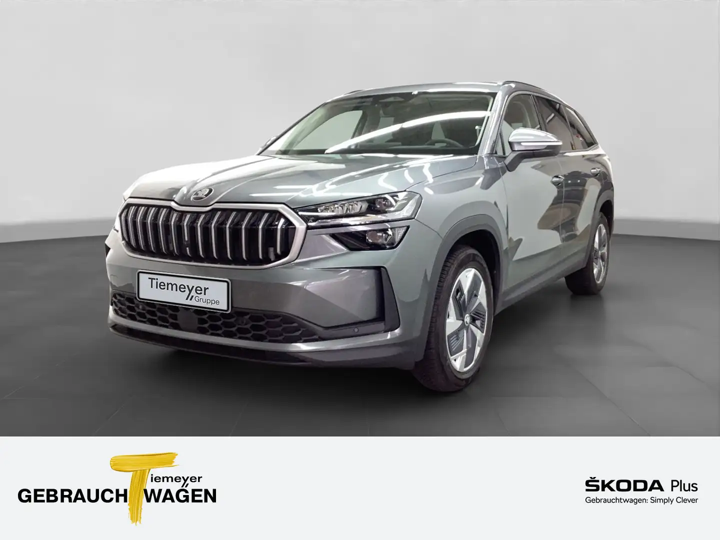 Skoda Kodiaq 2.0 TDI DSG 4x4 SELECTION MATRIX PANO Grau - 1