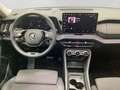 Skoda Kodiaq 2.0 TDI DSG 4x4 SELECTION MATRIX PANO Grau - thumbnail 5