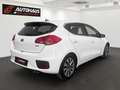 Kia Ceed / cee'd cee'd 1,4 CRDi GOLD| 1.BESITZ | SEHR GEPFLEGTER... Weiß - thumbnail 6