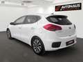 Kia Ceed / cee'd cee'd 1,4 CRDi GOLD| 1.BESITZ | SEHR GEPFLEGTER... Weiß - thumbnail 3