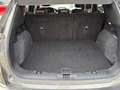 Ford Kuga 1.5 ecoblue st-line x 2wd 120cv auto Nero - thumbnail 9