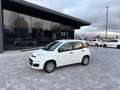 Fiat Panda 1.2 GPL  ANCHE PER NEOPATENTATI Bianco - thumbnail 4