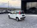 Fiat Panda 1.2 GPL  ANCHE PER NEOPATENTATI Bianco - thumbnail 9