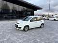 Fiat Panda 1.2 GPL  ANCHE PER NEOPATENTATI Bianco - thumbnail 3