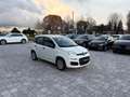 Fiat Panda 1.2 GPL  ANCHE PER NEOPATENTATI Bianco - thumbnail 5