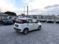 Fiat Panda 1.2 GPL  ANCHE PER NEOPATENTATI Bianco - thumbnail 8