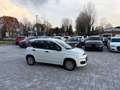 Fiat Panda 1.2 GPL  ANCHE PER NEOPATENTATI Bianco - thumbnail 7