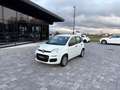 Fiat Panda 1.2 GPL  ANCHE PER NEOPATENTATI Bianco - thumbnail 1