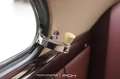 Porsche 356 Pre-A 1500 - Fully Restored-Concours Condition-POR Grau - thumbnail 22