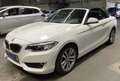 BMW 220 i Cabrio 6 Gang Schalter*Weiß/Leder braun*Navi* Blanco - thumbnail 1