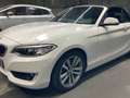 BMW 220 i Cabrio 6 Gang Schalter*Weiß/Leder braun*Navi* Wit - thumbnail 4