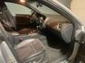 Audi S5 V6 3.0 TFSI 333 Quattro S tronic 7 - thumbnail 19