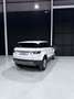 Land Rover Range Rover Evoque 2.0eD4 SE Dynamic 2WD 150 Blanco - thumbnail 7