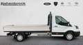 Ford Transit Pritsche 350L3 TREND Blanc - thumbnail 3