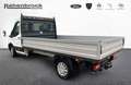 Ford Transit Pritsche 350L3 TREND Blanc - thumbnail 4