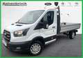 Ford Transit Pritsche 350L3 TREND Blanc - thumbnail 1