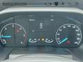 Ford Transit Pritsche 350L3 TREND Blanc - thumbnail 18