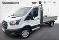 Ford Transit Pritsche 350L3 TREND Blanc - thumbnail 19
