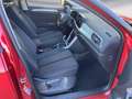 Volkswagen T-Roc 1.5 TSI Life LED SHZ ACC STANDHEIZUNG AHK Rouge - thumbnail 7