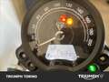 Triumph Street Twin Gold Line Grigio - thumbnail 3