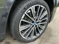 BMW X1 xDrive25e U11 XB2 Grün - thumbnail 5
