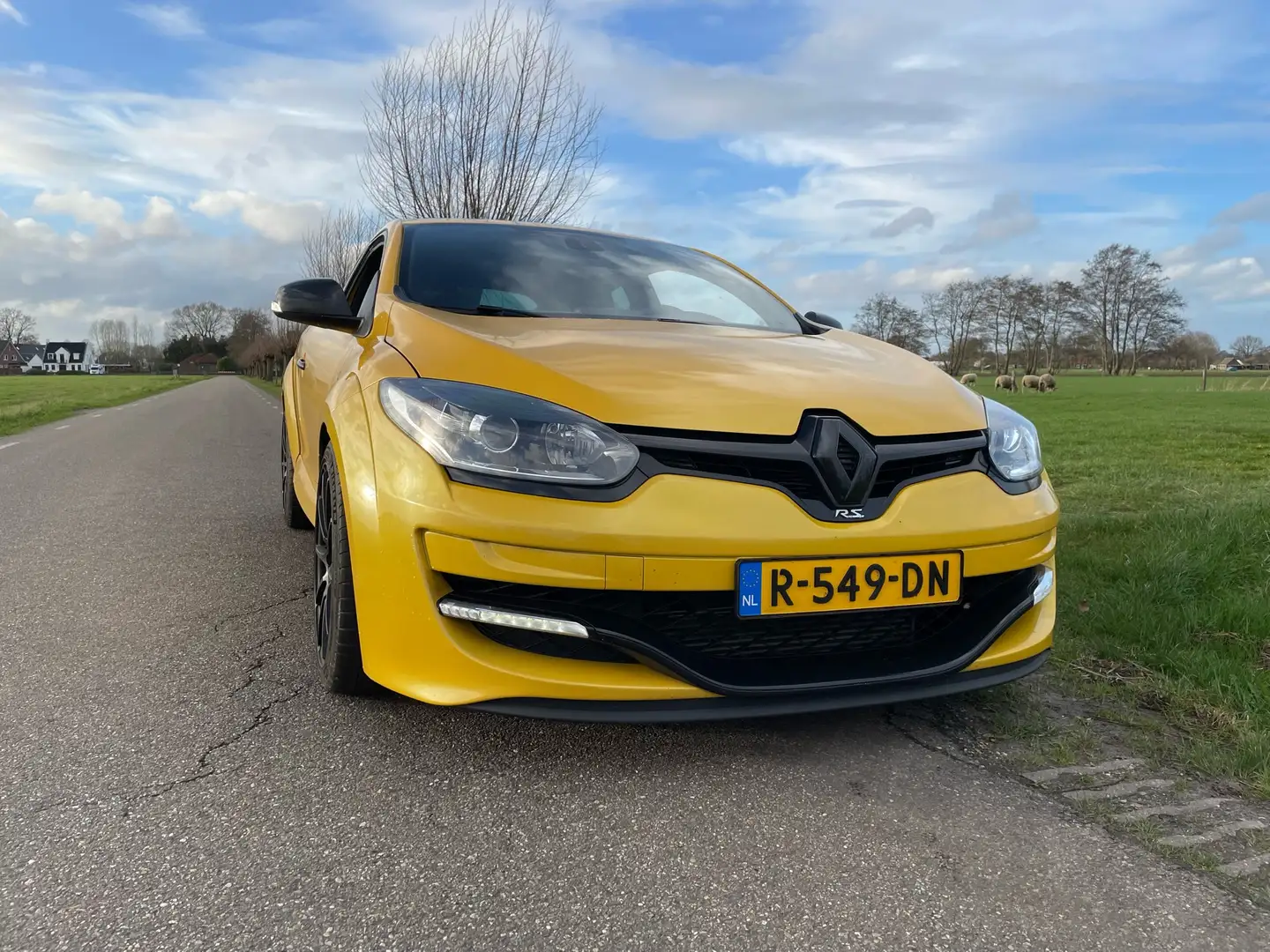 Renault Megane 2.0 T R.S 275 Cup Yellow - 1