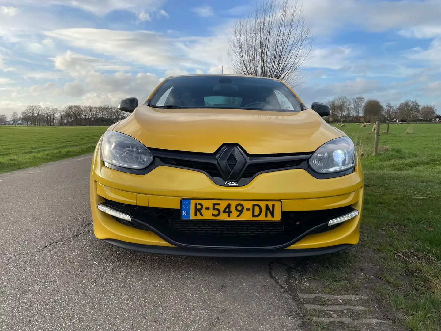 Renault Megane 2.0 T R.S 275 Cup Yellow - 2