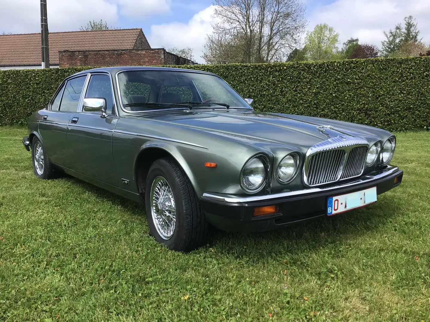 Jaguar XJ12 Version Daimler Grün - 1