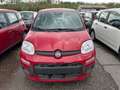 Fiat Panda 1.0 FireFly Hybrid Pop Rouge - thumbnail 2