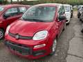 Fiat Panda 1.0 FireFly Hybrid Pop Rouge - thumbnail 1
