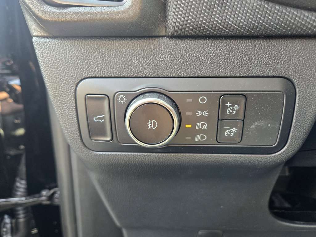 Image 19