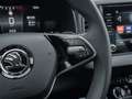Skoda Karoq 1.5 TSI Selection DSG LED+ACC+DAB Grau - thumbnail 13