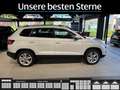 Skoda Karoq Karoq 1.6 TDI Style Pano*AHK*LED*Kamera*PDC Autom. Weiß - thumbnail 15