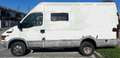 Iveco Daily 35J11 Weiß - thumbnail 1