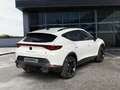 CUPRA Formentor VZ 2.0 TSI 4Drive 228 kW (310 PS) 7-Gang-DSG Weiß - thumbnail 7
