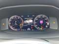 CUPRA Formentor VZ 2.0 TSI 4Drive 228 kW (310 PS) 7-Gang-DSG Weiß - thumbnail 14