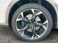 CUPRA Formentor VZ 2.0 TSI 4Drive 228 kW (310 PS) 7-Gang-DSG Weiß - thumbnail 21